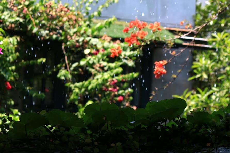 Polygon Art And Homestay Hanoi Eksteriør billede